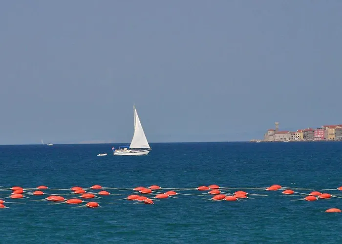 База отдыха Kanegra Plava Laguna 2*